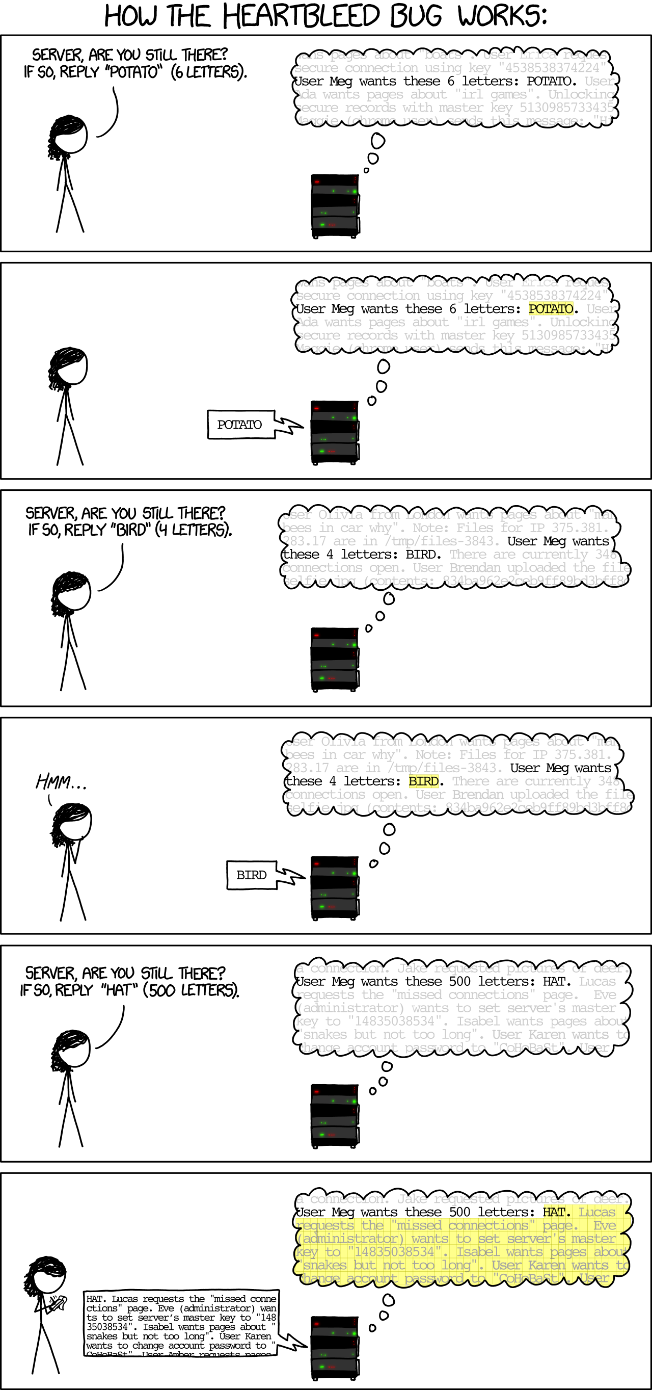 heartbleed_explanation_2x