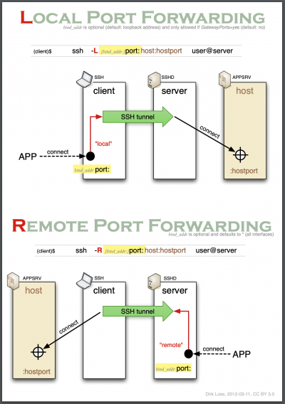 ippsec-nibbles-sshfwd