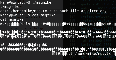 pwnlab-msgmike.png